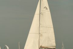 IMG_4101