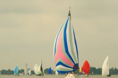 IMG_4170