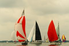 IMG_4213