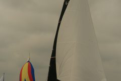 IMG_4229