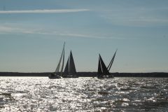 IMG_4572