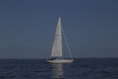 IMG_7280