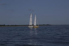 IMG_7281