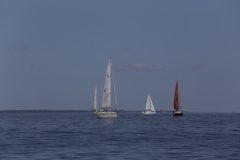IMG_7295