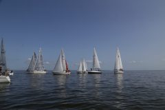 IMG_7335