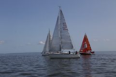 IMG_7337