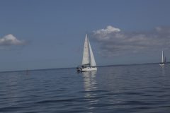 IMG_7342