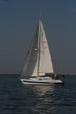IMG_5416