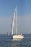 IMG_5437