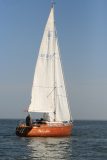 IMG_5442