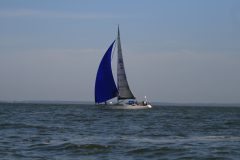 IMG_5455