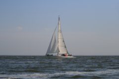 IMG_5456