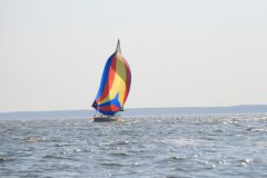 IMG_5459