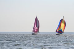 IMG_5460