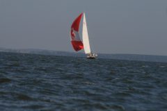 IMG_5487
