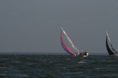 IMG_5490