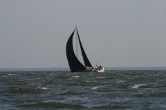 IMG_5491