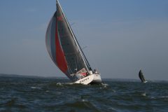 IMG_5524