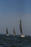 IMG_5539