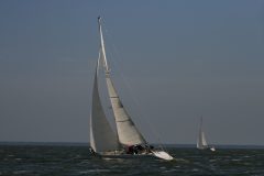 IMG_5546