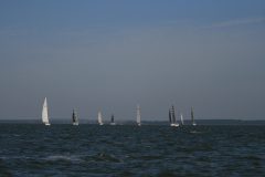 IMG_5547