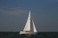 IMG_5548