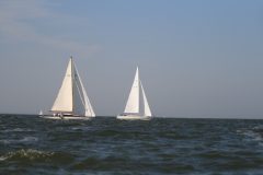IMG_5593