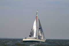 IMG_5598