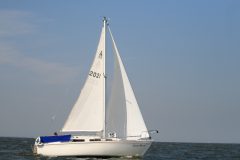 IMG_5650