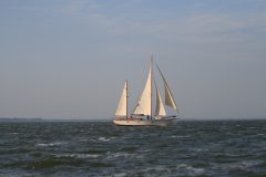 IMG_5660