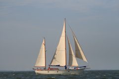 IMG_5663