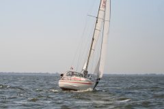 IMG_5666