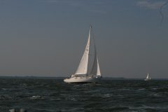 IMG_5710