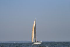 IMG_5782