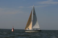 IMG_5794