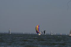 IMG_5831