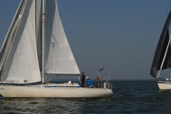 IMG_5894