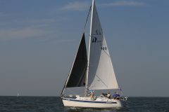 IMG_5900