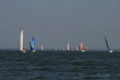 IMG_5907