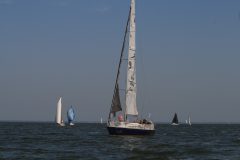 IMG_5914