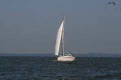 IMG_5920