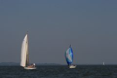IMG_5921