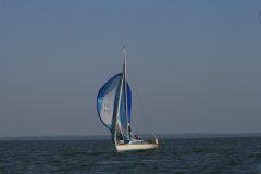 IMG_5926