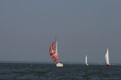 IMG_5933