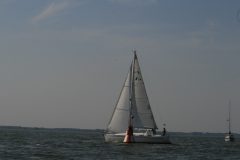 IMG_5937