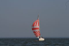IMG_5938