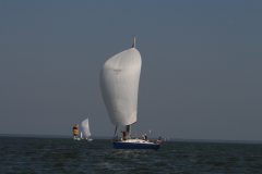 IMG_5974