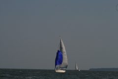 IMG_5993