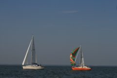 IMG_5995