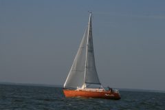 IMG_6016